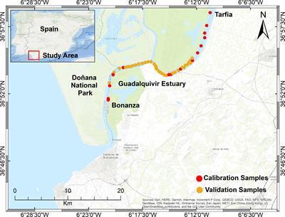 Monitoring turbidity in a highly variable estuary using Sentinel 2-A/B for ecosystem management applications